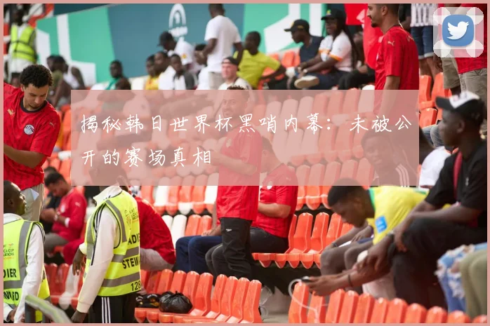 揭秘韩日世界杯黑哨内幕：未被公开的赛场真相