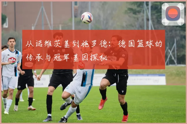 从诺维茨基到施罗德：德国篮球的传承与冠军基因探秘
