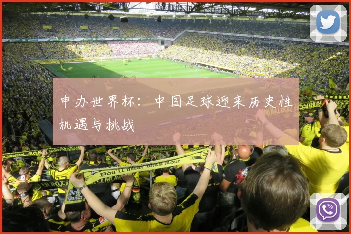 申办世界杯：中国足球迎来历史性机遇与挑战