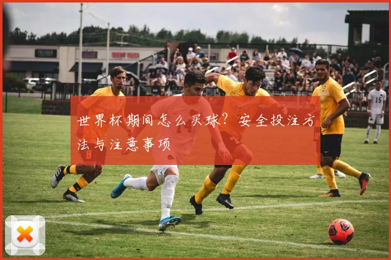世界杯期间怎么买球？安全投注方法与注意事项